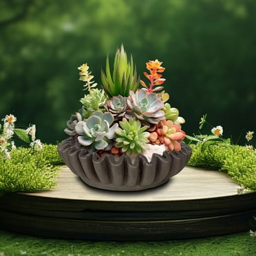 Iumwxz Ruffled Decorative Bowl - Living Room Design Coffee Table Bookshelf and Console Table Design Home Decoration Christmas Ornaments Christmas Gifts Online Shopping