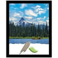 thumbnail image 1 of Black Gallery Deep Wood Picture Frame, Photo Frame, Art Frame, 1 of 10