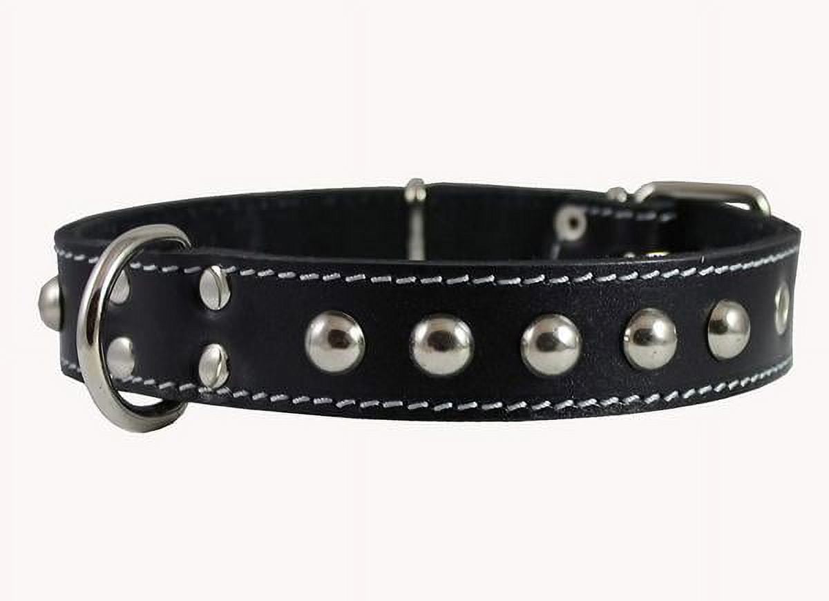 Black Genuine Leather Designer Dog Collar 11x3/4 with Studs