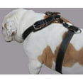 thumbnail image 1 of Black Genuine Leather Dog Harness. 28"-34" Chest, 1.5" Wide Straps, Rottweiler, Bulldog, 1 of 3