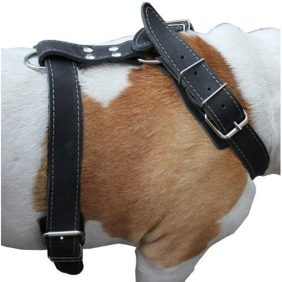 Black Genuine Leather Dog Harness, 35"-40" Chest, 1.5" Wide Straps Mastiff Great Dane
