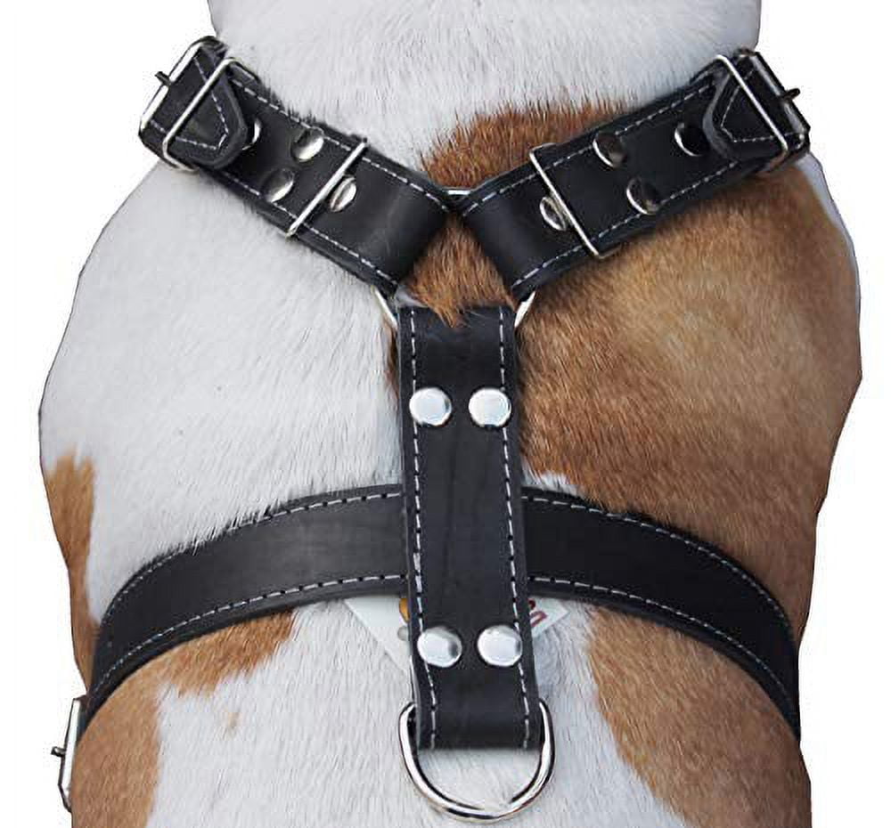 Black Genuine Leather Dog Harness, Large to XLarge. 33"-37" Chest, 1.5" Wide Straps