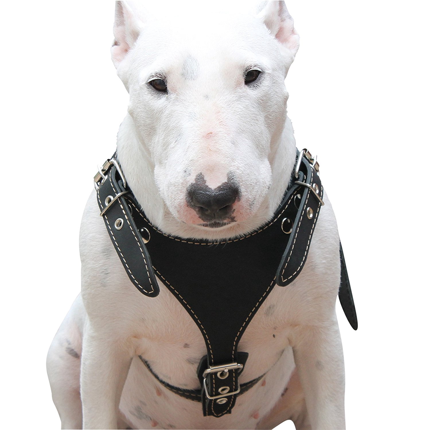Black Genuine Leather Dog Harness, Medium. 25'-30' Chest, 1' Wide Adjustable Straps