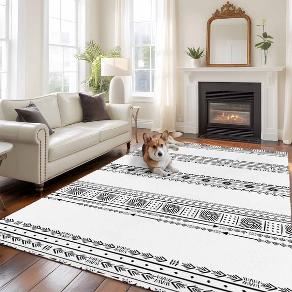 Black Geometric Large Area Rugs 5x8 ft Boho Lines White Modern Abstract Art Washable Rug Non Slip Indoor Carpet Absorbent Floor Mat for Living Room Bedroom Dining Room