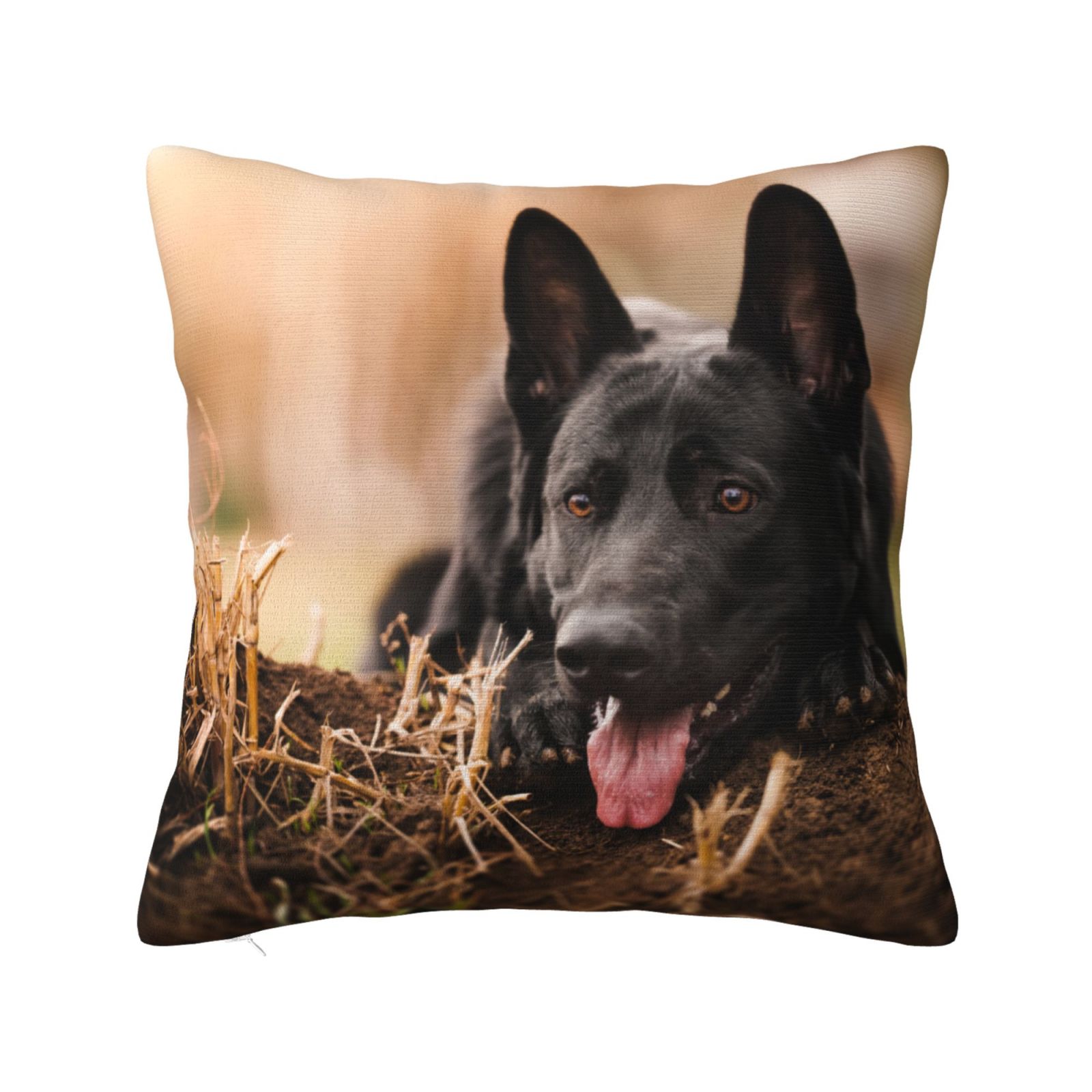 Black German Shepherd Lawn Bokeh German Pillow Cover Decorative Throw