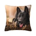 Black German Shepherd Lawn Bokeh German Pillow Cover Decorative Throw