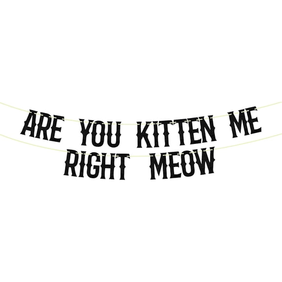 Black Glitter Are You Kitten Me Right Meow Banner, Funny Cat Kitten Theme Birthday Bachelorette Party Decorations