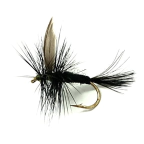 Black Gnat Dry Flies - One Dozen Flies - Sizes 10 - 20