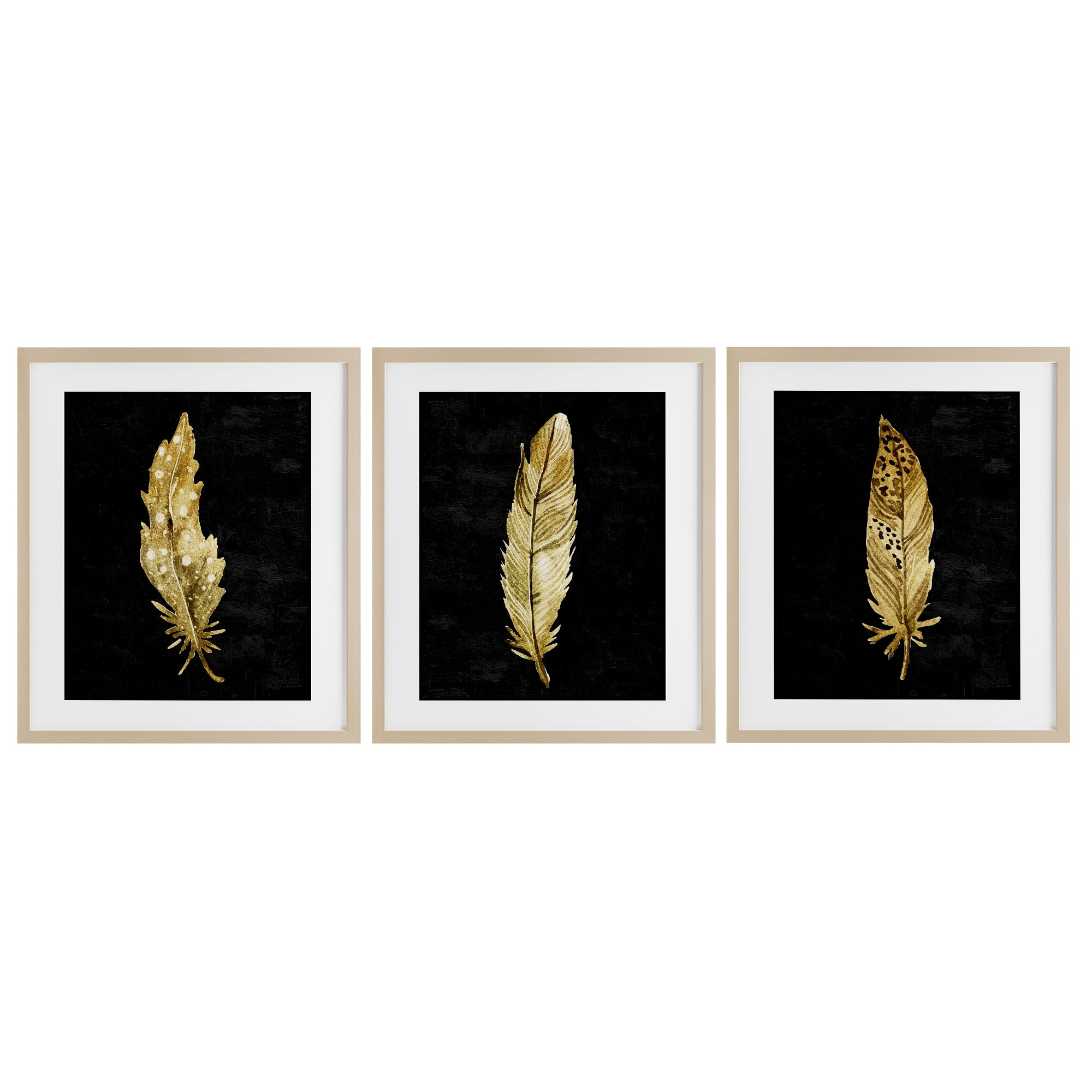 Black & Gold Feathers 3 Piece Birch Framed Print Under Glass Set, design by Kim Allen