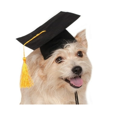 Black Graduation Hat Pet Costume