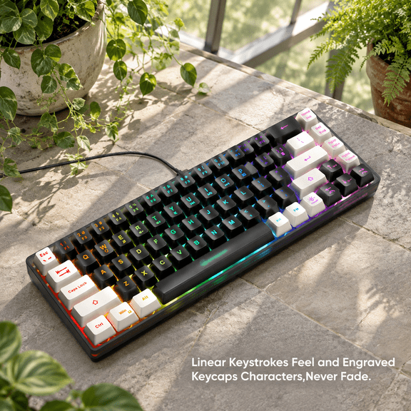 Black-Gray 65% Wired LED Backlit Mini Gaming 68 Keys for PC Laptop