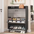 Black & Grey 2Tier Shoe Storage with Flip Doors Vintage