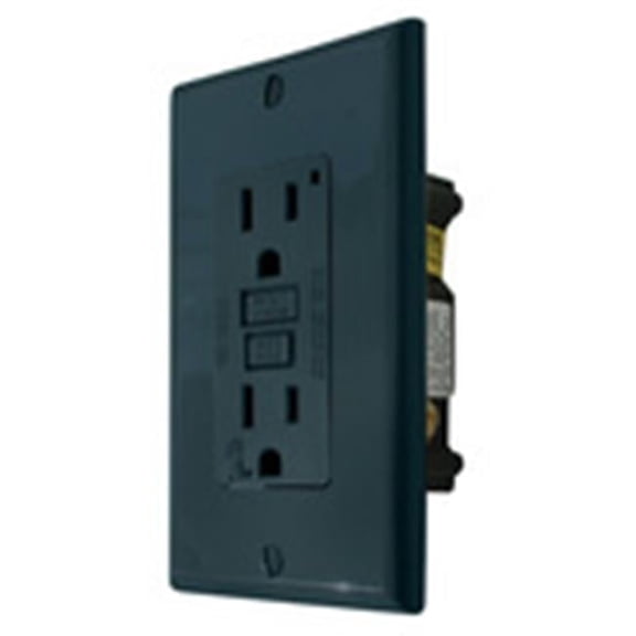 Black Ground Fault Interrupter Receptacle