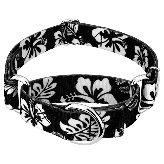 Country Brook Petz® Black Hawaiian Martingale Dog Collar, Large