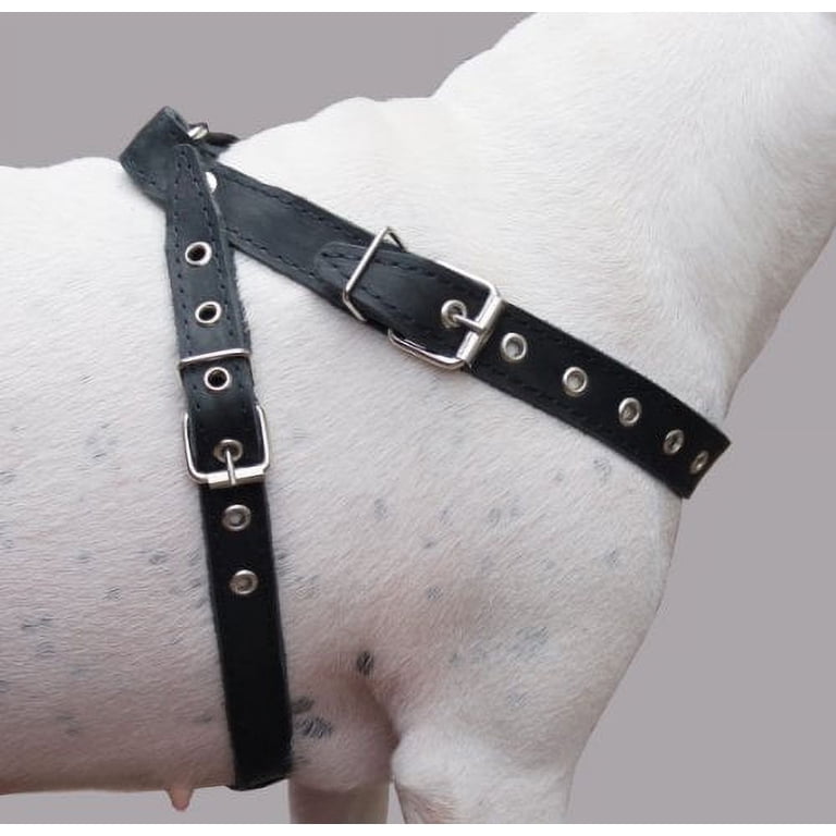Black High Quality Real Leather Dog Harness 21