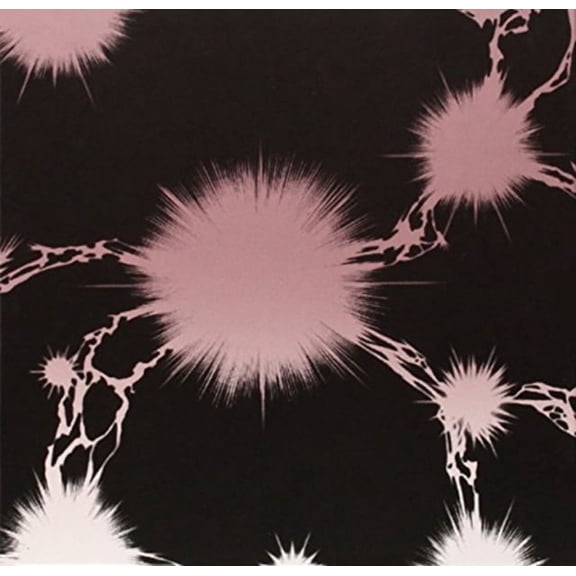Black Hole/blank Canvas [limited Edition]