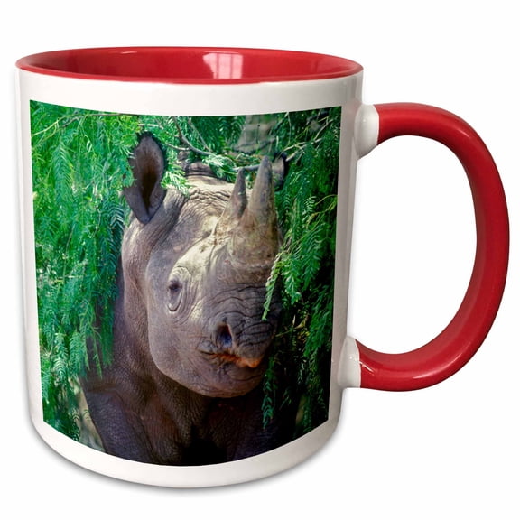 3drose, Black-horned Rhinoceros, Texas Ranch, Usa - Na02 Jmi0022 - Janis Miglavs, 11oz Two-tone Red Mug