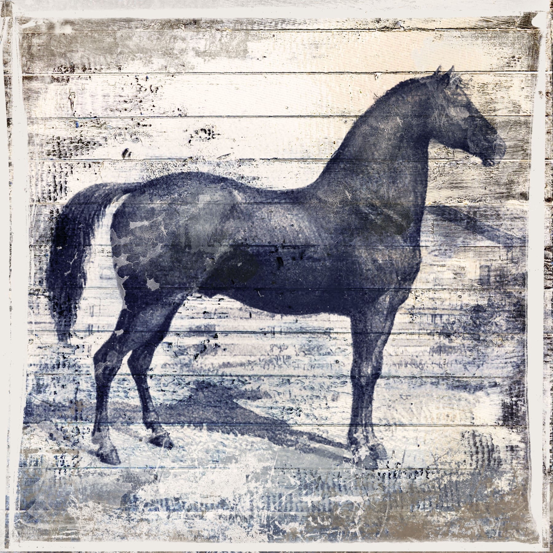 "Black Horse II" Painting Print on Wrapped Canvas