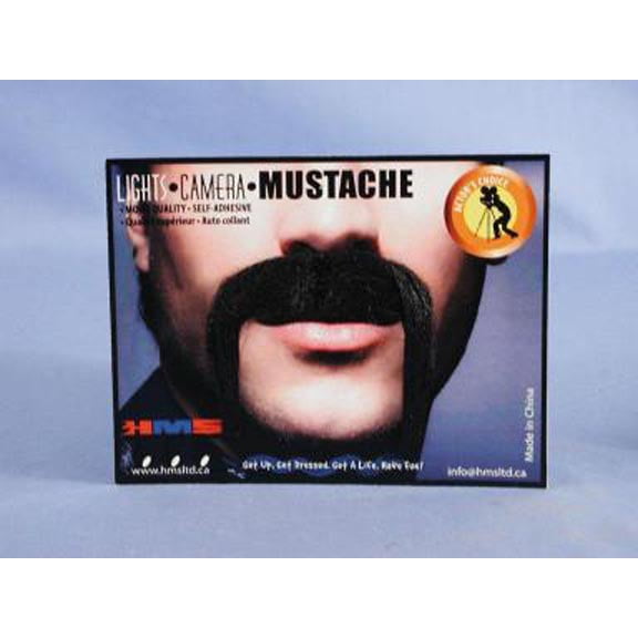 Black Horseshoe Mustache