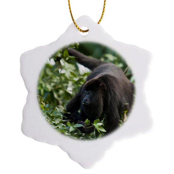 3drose, Black Howler Monkey, Community Baboon Center, Belize - Sa02 Pox0021 - Pete Oxford, 3 inch Snowflake Porcelain Ornament
