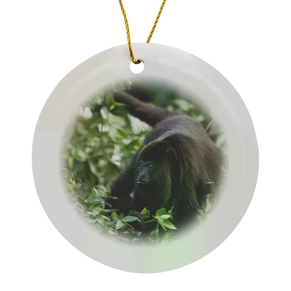 3drose, Black Howler Monkey, Community Baboon Center, Belize - Sa02 Pox0021 - Pete Oxford, Circle Porcelain Ornament