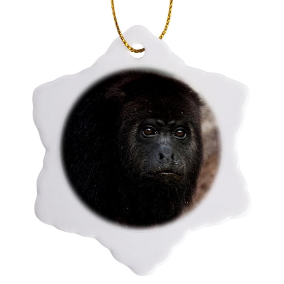 3drose, Black Howler Monkey, Community Baboon Center, Belize - Sa02 Pox0023 - Pete Oxford, 3 inch Snowflake Porcelain Ornament