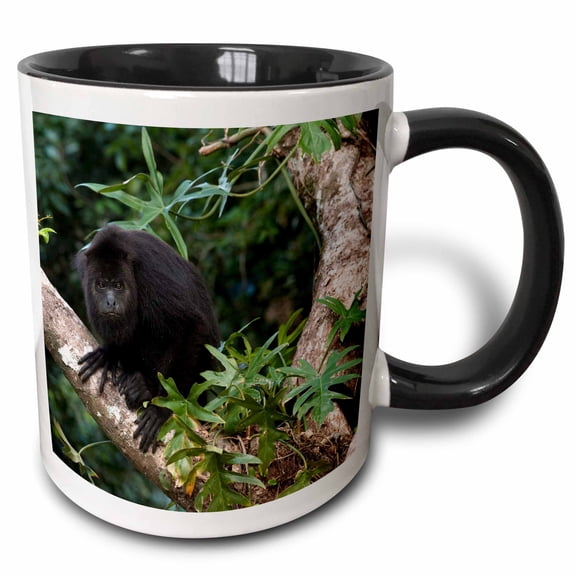 3drose, Black Howler Monkey, Community Baboon Center, Belize - Sa02 Pox0024 - Pete Oxford, 15oz Two-tone Black Mug