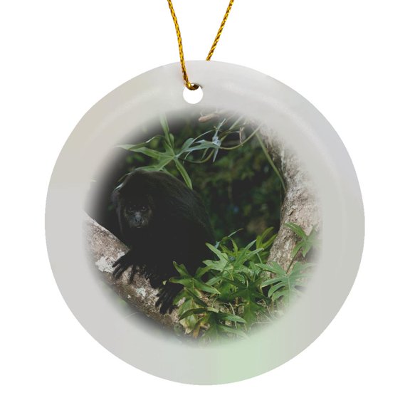 3drose, Black Howler Monkey, Community Baboon Center, Belize - Sa02 Pox0024 - Pete Oxford, Circle Porcelain Ornament
