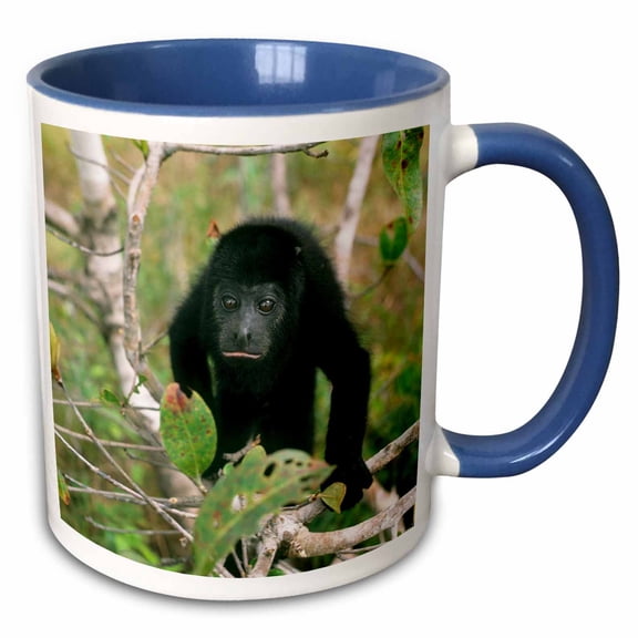 3drose, Black Howler Monkey in Tree, Belize - Sa02 Ksc0027 - Kevin Schafer, 11oz Two-tone Blue Mug