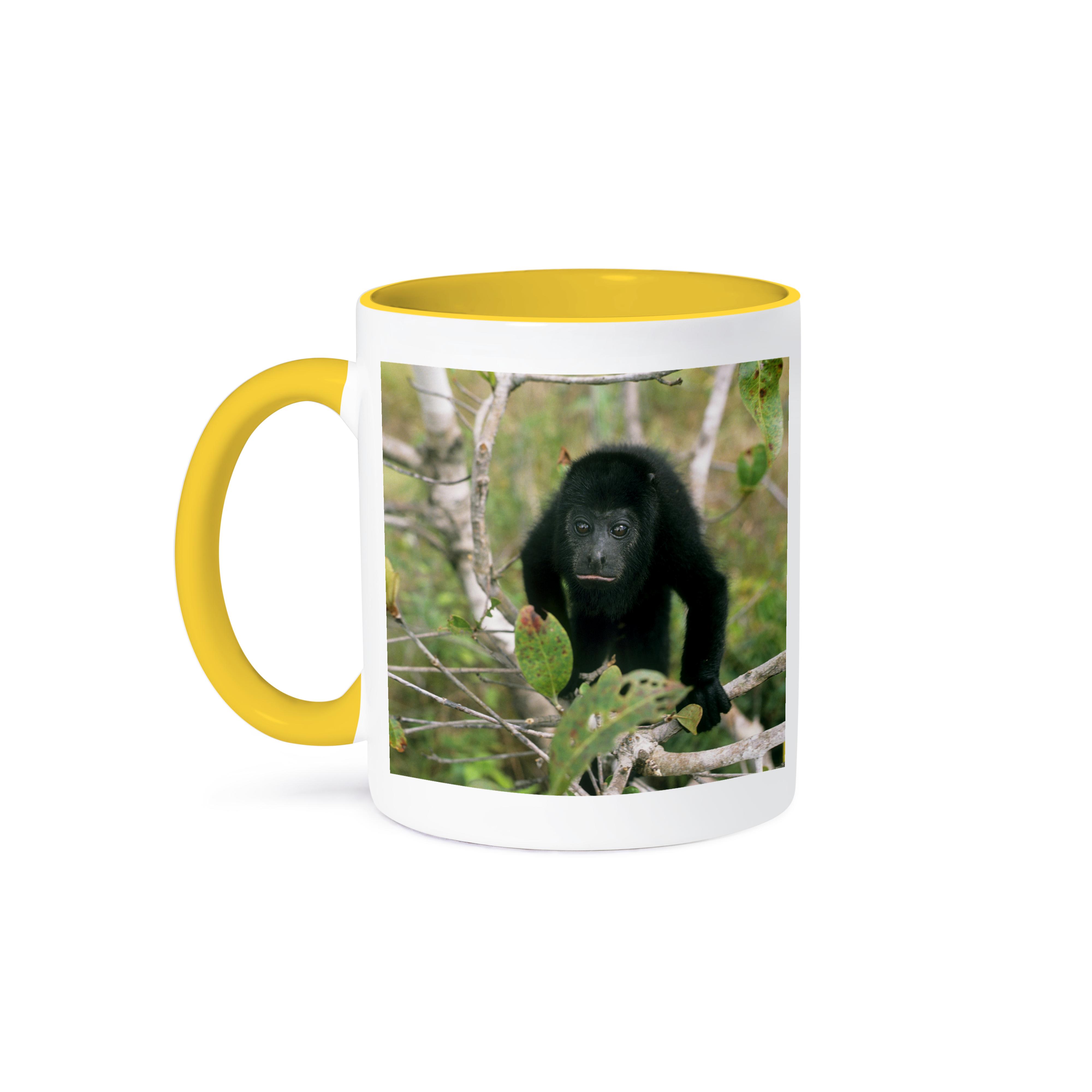 Mug Howler Black Howler Monkey In Tree, Belize - Sa02 Ksc0027 - Kevin Schafer ...
