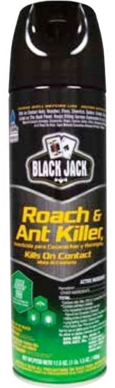 Black Jack Indoor & Outdoor Roach & Ant Killer Spray, 17.5 oz, 3 Pack ...