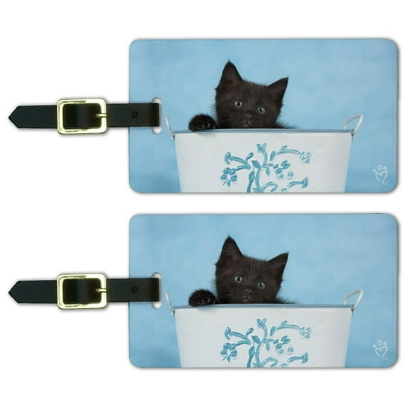 Black Kitten Cat in Bucket Tin Pail Luggage ID Tags Suitcase Carry-On Cards - Set of 2