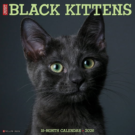 Black Kittens 2026 Wall Calendar, (Paperback)