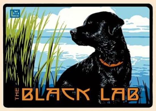 Black Lab Canvas Art - Laura Wilder (20 x 28)