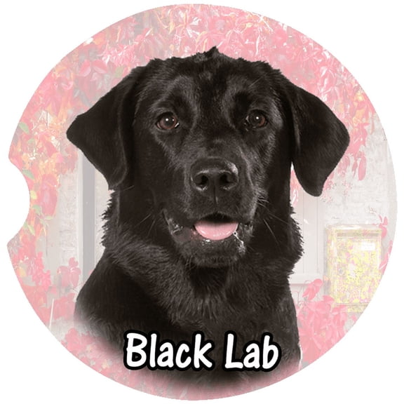 Black Lab Car Coaster, Absorbent Stoneware Car Cup Holder Coaster, Set of 2