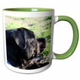 thumbnail image 1 of 3drose, Black Lab Dog Head View Turned Away, 15oz Two-tone Green Mug, 1 of 6