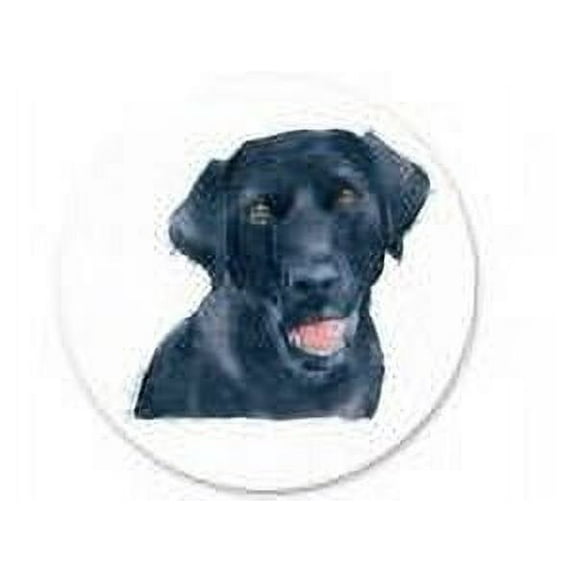 Black Lab Extra Large Edible Photo Image Cake Decoration
