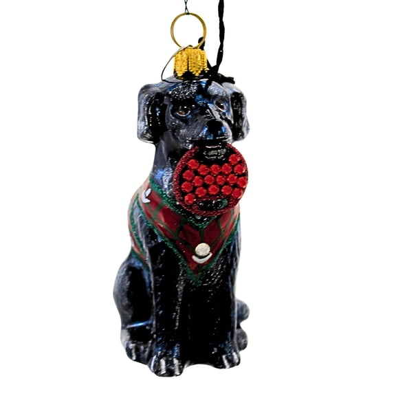 Black Lab In Vest - 1 Ornament 3.5 Inch, Glass - Ornament Fetching Ring Dog ZKP4609BLF