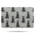 thumbnail image 1 of Black Labrador Bathroom Rugs Mat,Non Slip Microfiber Bathroom Rug,Rubber Backing,Soft Bathroom Mats for Bathroom Floor,Tub and Shower,17x27in(43x68cm), 1 of 5