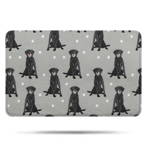 Black Labrador Bathroom Rugs Mat,Non Slip Microfiber Bathroom Rug,Rubber Backing,Soft Bathroom Mats for Bathroom Floor,Tub and Shower,17x27in(43x68cm)