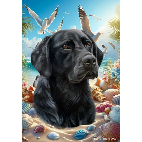 Black Labrador - Best of Breed Summer Beach Outdoor House Flag 28" x 40" Mailbox Flag Dog Flag