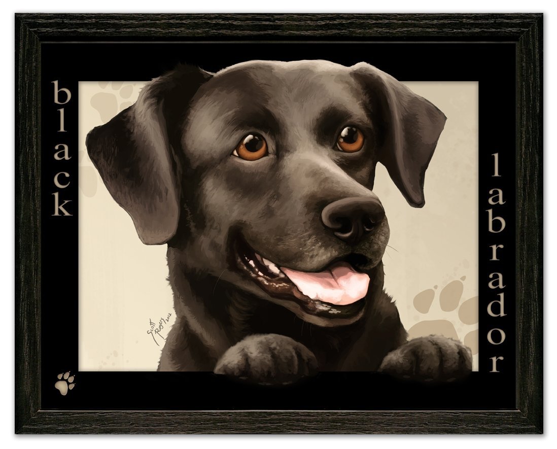 Labrador Photo Frame Black Labrador Dog by Scott Rogers “Paws on the Picture Frame” 13x10 ...
