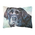 thumbnail image 1 of Black Labrador Face Fabric Decorative Pillow, 1 of 1