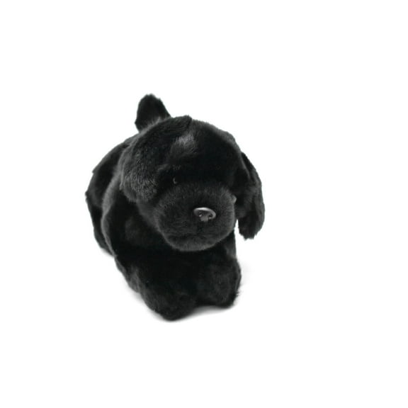 Black Labrador Plush Toy, Realistic Stuffed Puppy, Black Lab, Dog, K9, Stuffed Dog, Educational, Toy, Kids, Gift, 8" CC01 BB51