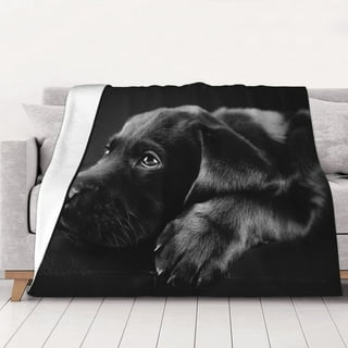 Black lab blanket walmart hotsell