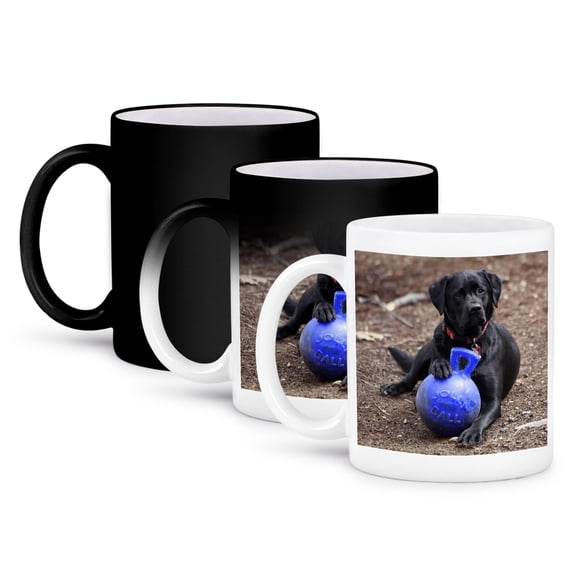 Black Labrador Retriever Pet Photo Dog Poses Favorite Ball Toy, 11oz Magic Transforming Mug