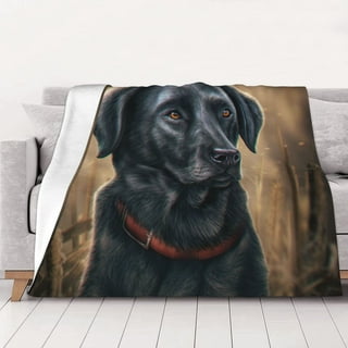 Black lab blanket walmart deals