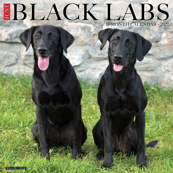 Willow Creek Press, Black Labs 2027 Wall Calendar