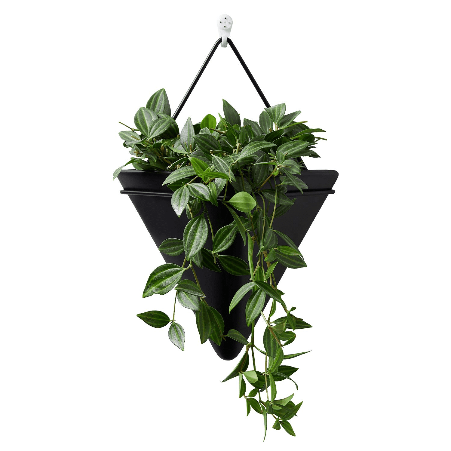 Black Large Wall Hanging Planter, Indoor Wall Decor Geometric Planters,  Plant Hanger Succulent Wall Planter Vase, Ceramic Plant Wall Holder, for  Displaying Small Plants, Decors, Gift - Walmart.com