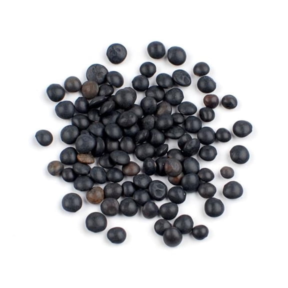 Black Lentils, 10 Pound Box